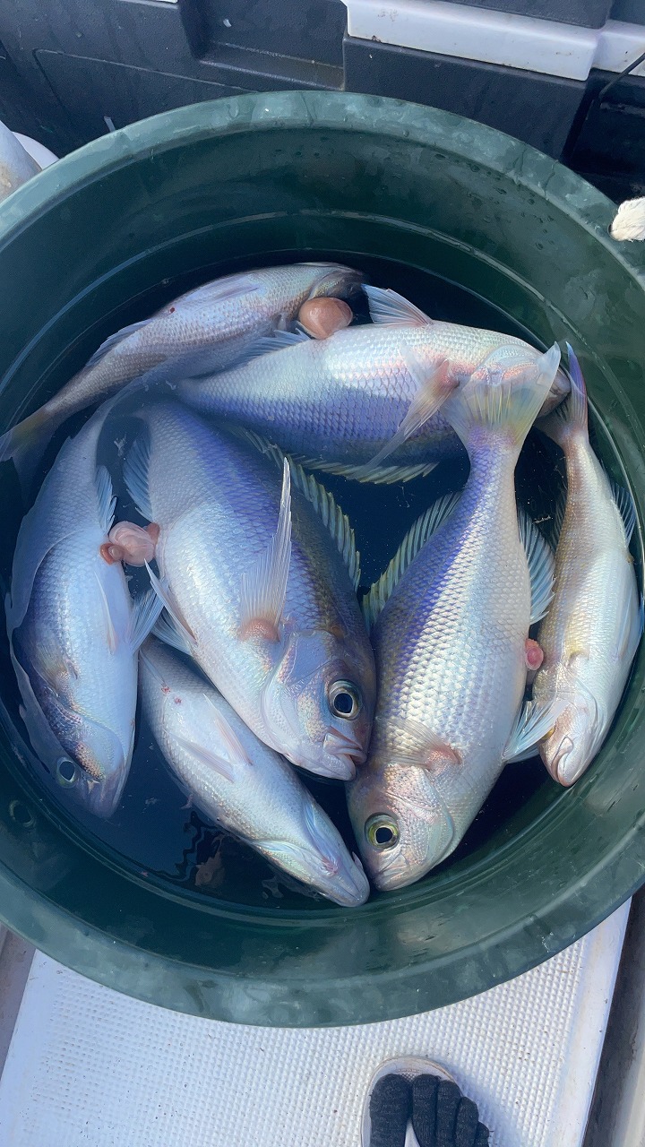 鮴榊・荳ク縲謠蝉セ・IMG_5594