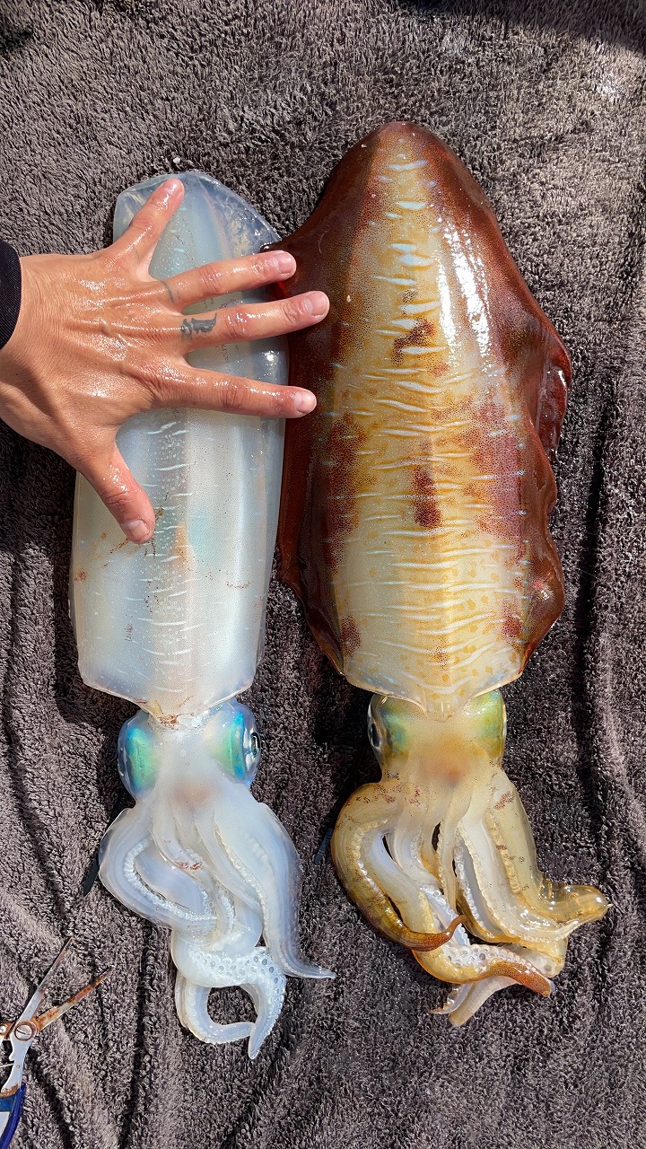 鮴榊・荳ク縲謠蝉セ・IMG_5066